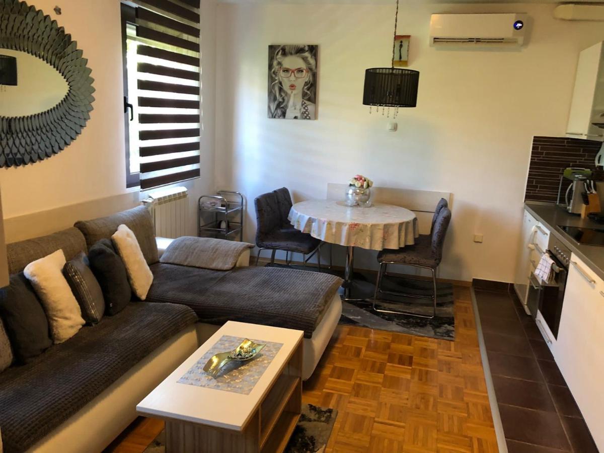 Apartment Sweet Dreams-Close To Zoo,Dinamo Stadium And The City Center Zagreb Dış mekan fotoğraf